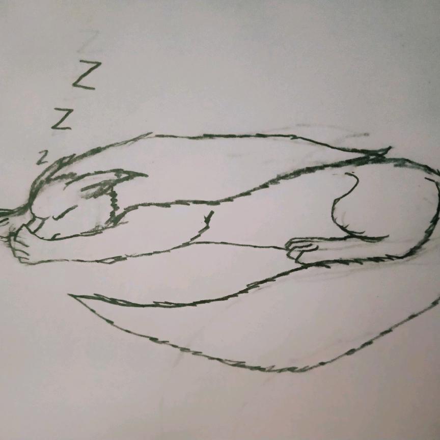 ☕ 期待下一次漫展(*'▽'*)♪