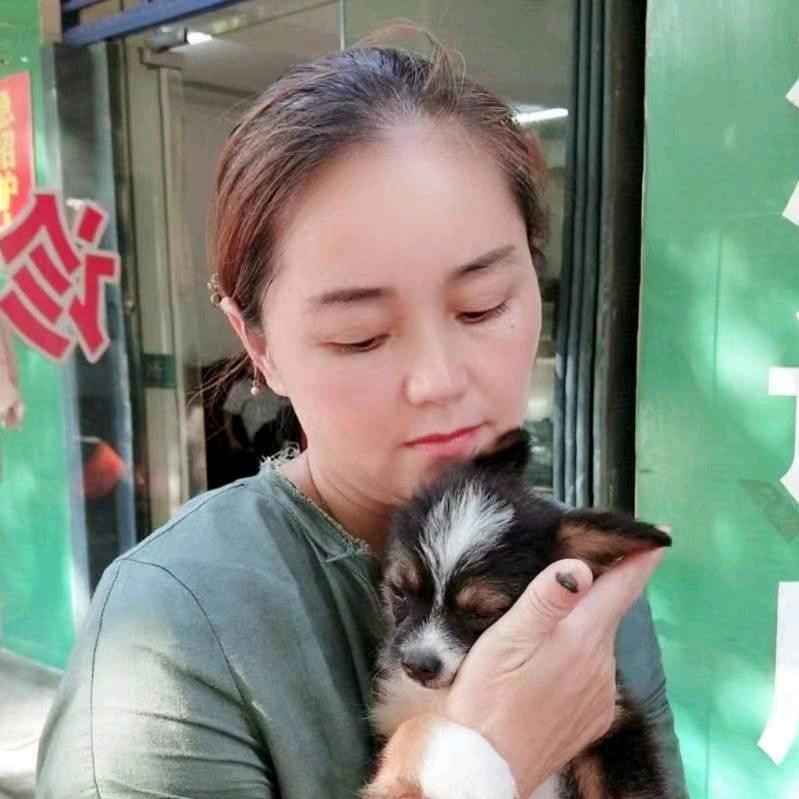 容妈妈流浪狗基地