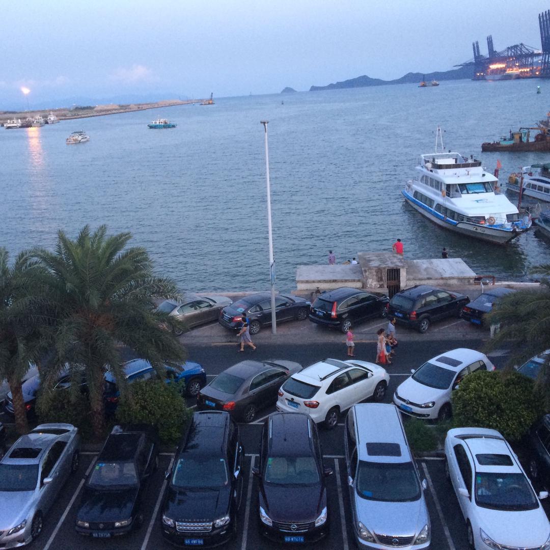 🐠会飞的渔🐟