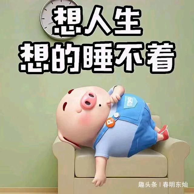 用户7963865679229