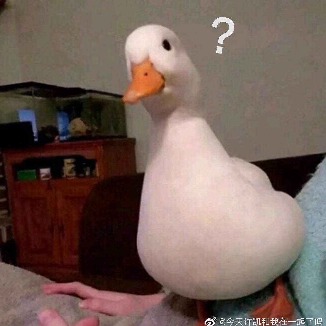 JC_27