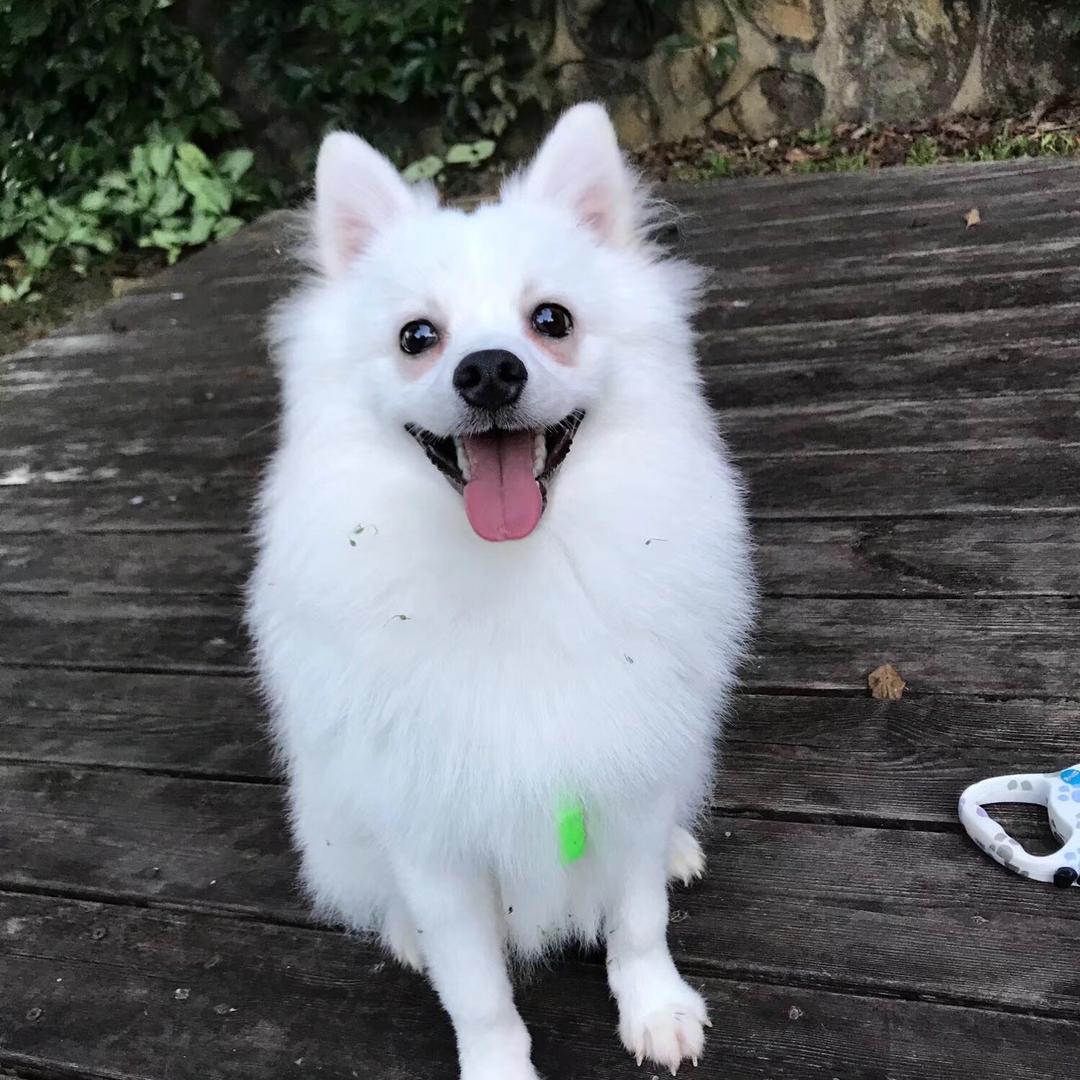 我有一个小秘密