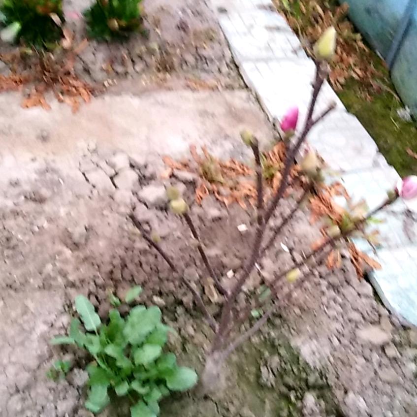 顺其自然。