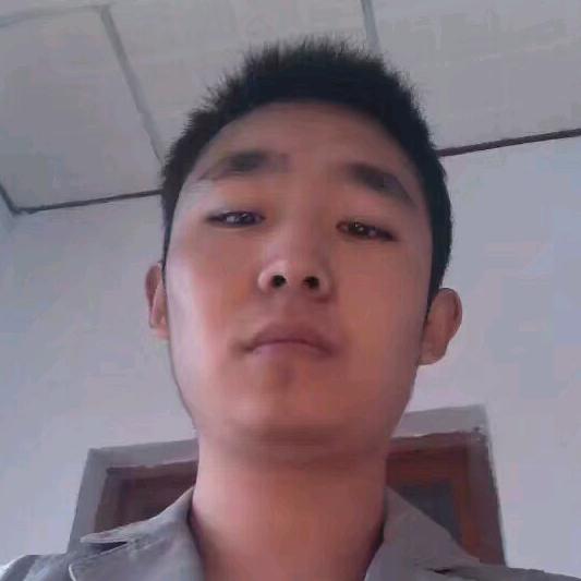 孤傲的狼