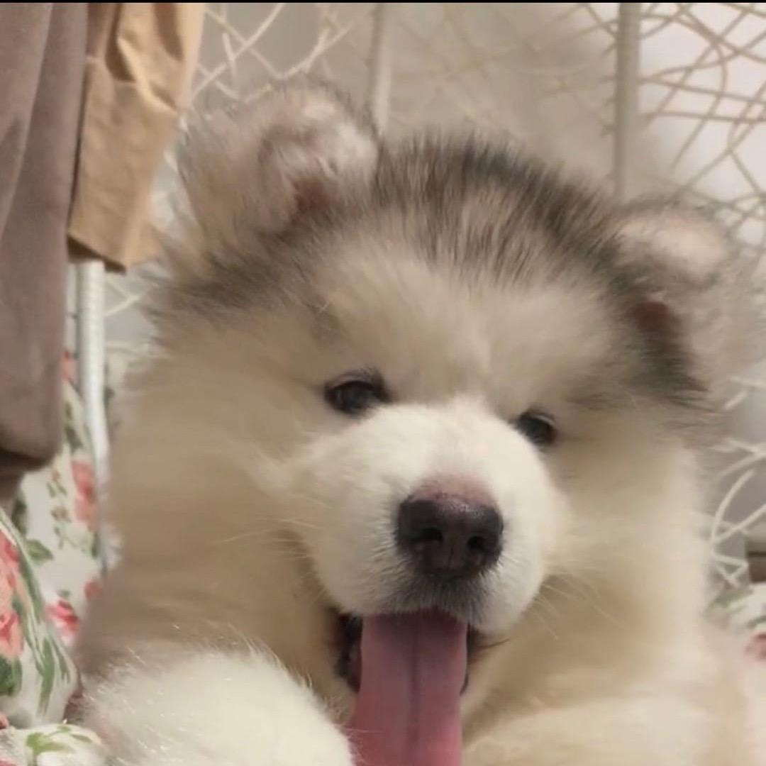 天罡