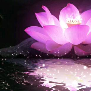 梦之翼元宇宙代代相传