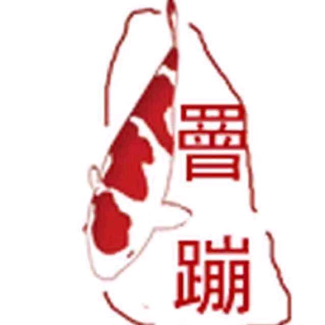 罾蹦鲤鱼🎏