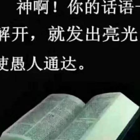 护老天使