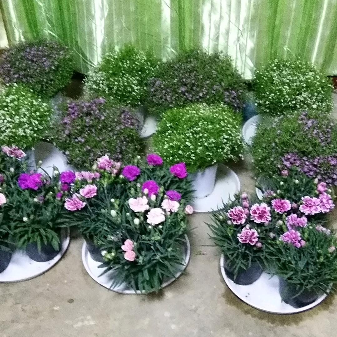 顺其自然就来好运