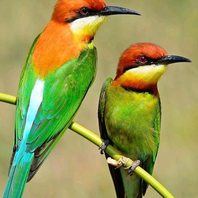 ꧄ꦼ💖潇洒ꦹ😎ོ人生᭄🐲⛵༄