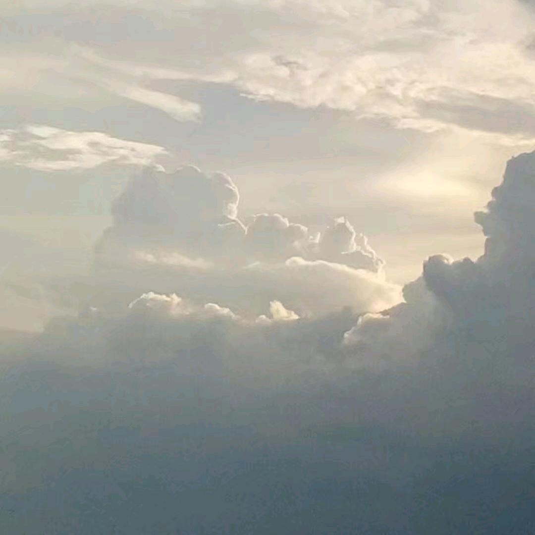 昙花一现😍