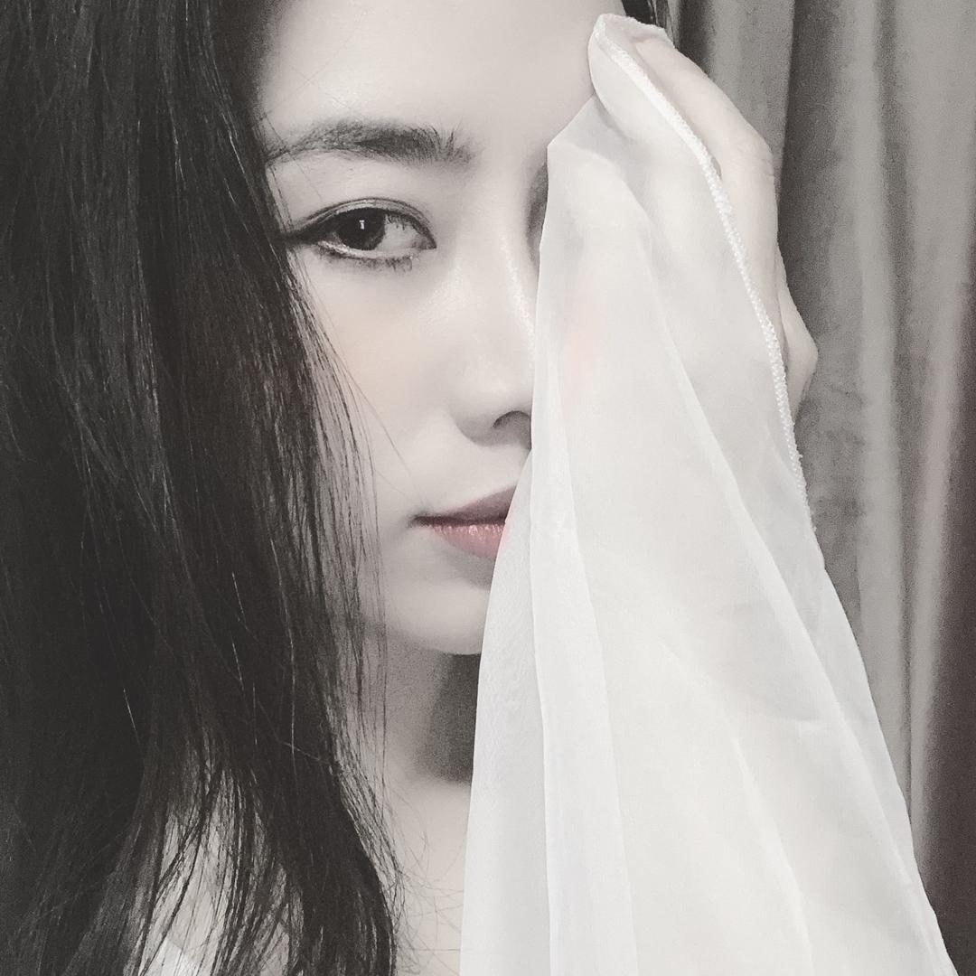 沐木