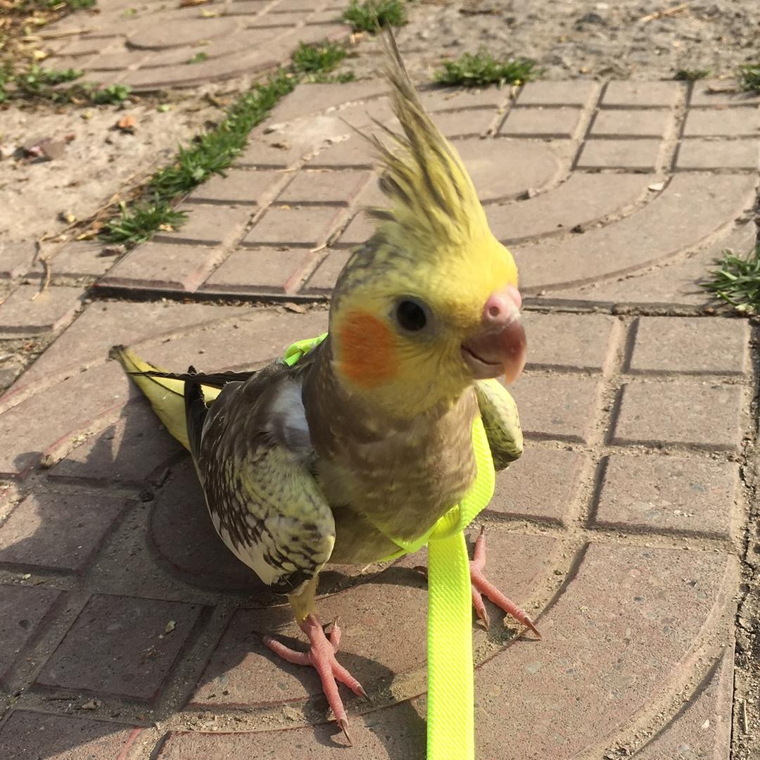 。。。。
