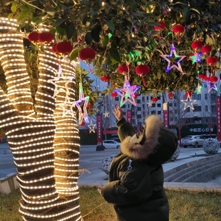 满粉阳光照  花儿开
