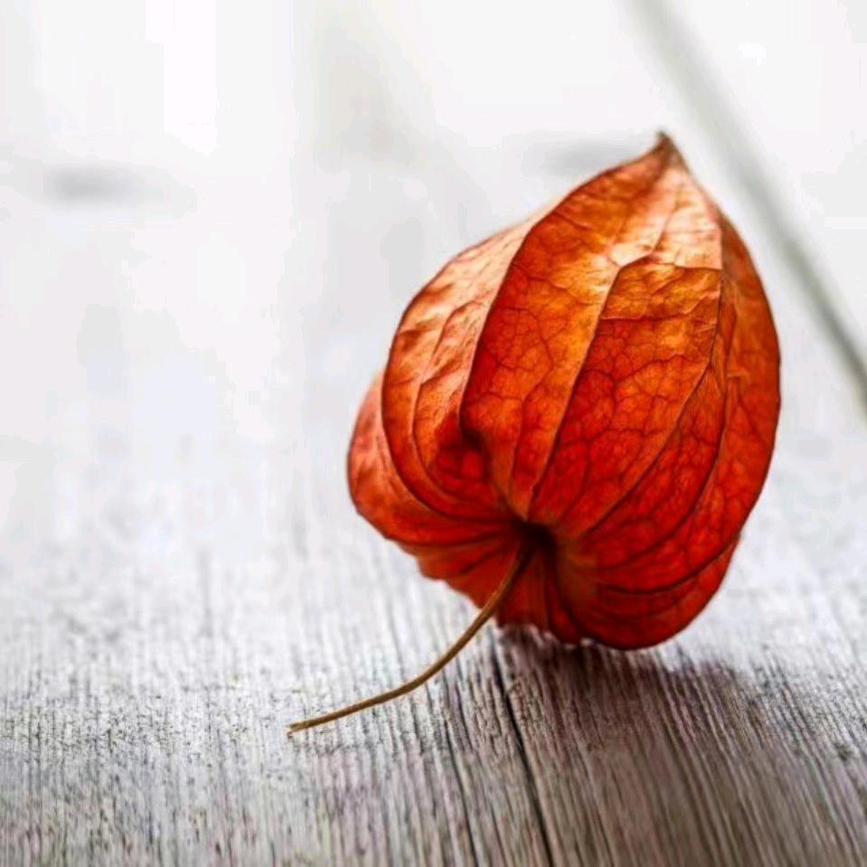 ℳঞ ꦿ记忆的痕迹 ໌້ᮨ꧔ꦿ᭄