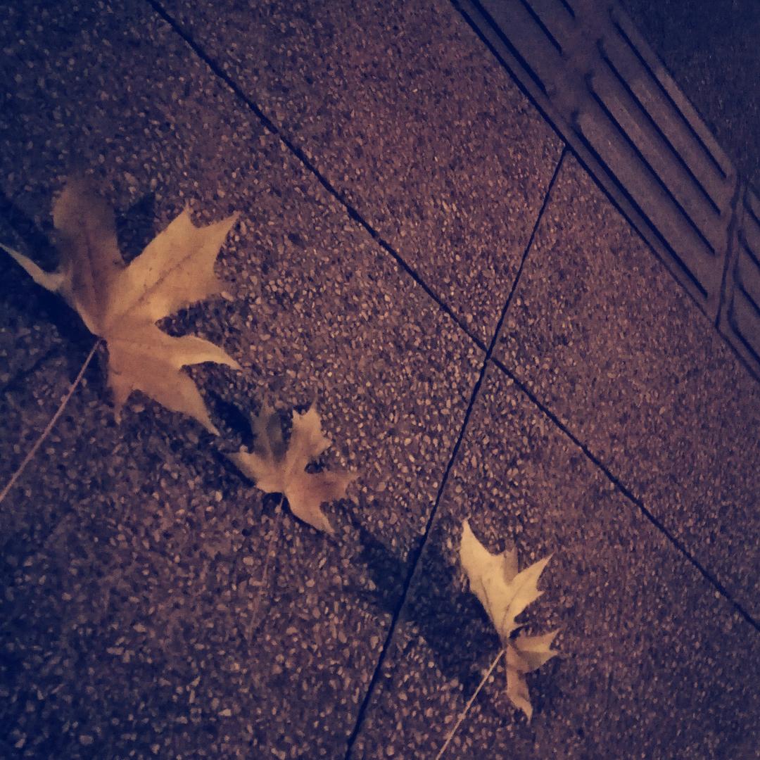 摇头晃脑