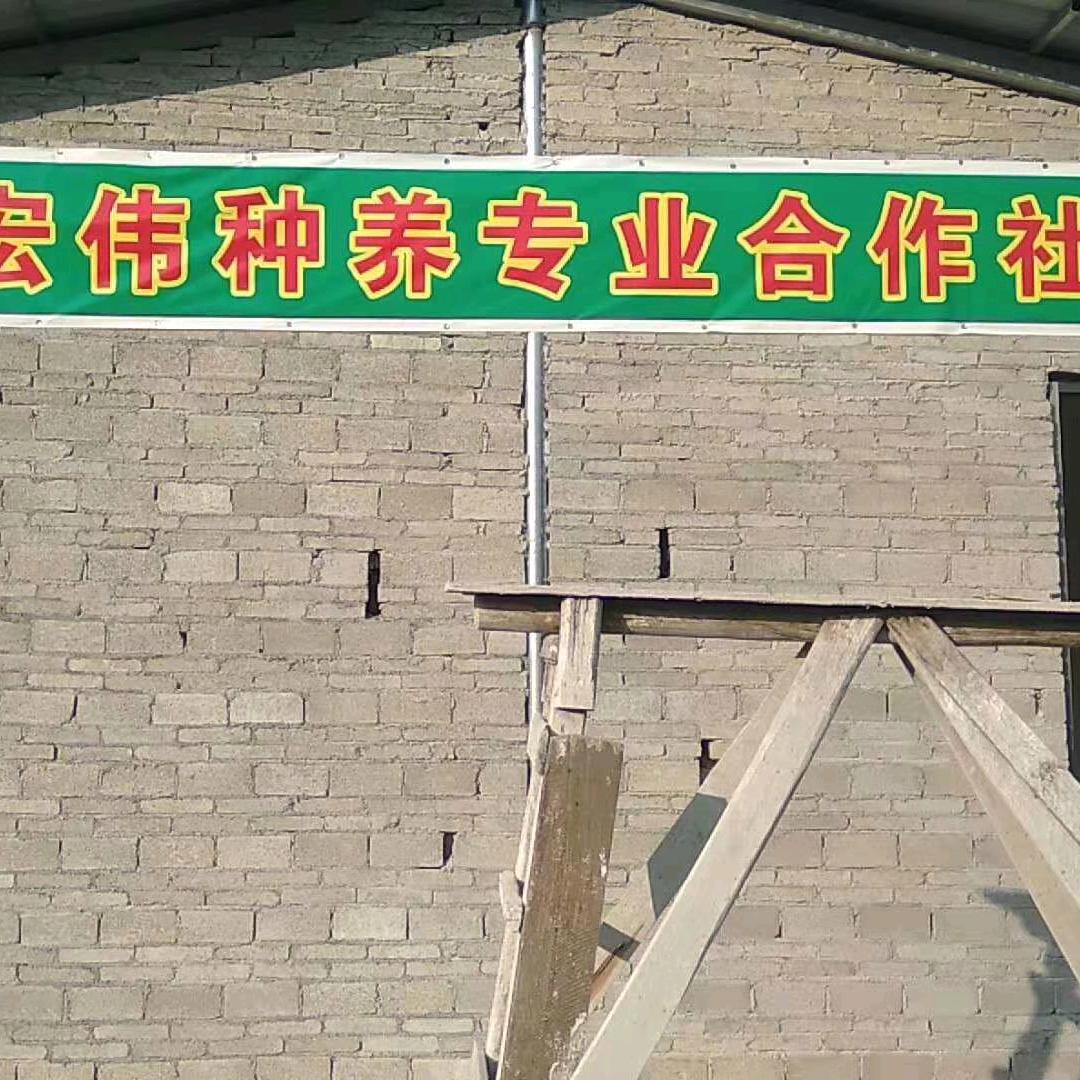 宏图伟业