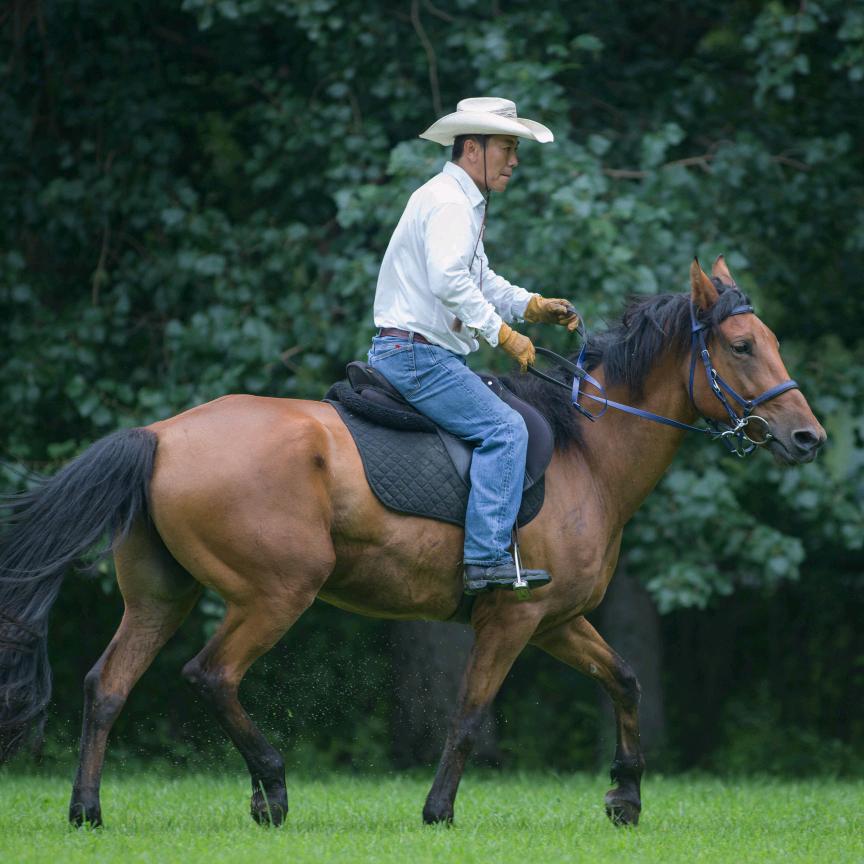 沈阳骐骥七星山马会