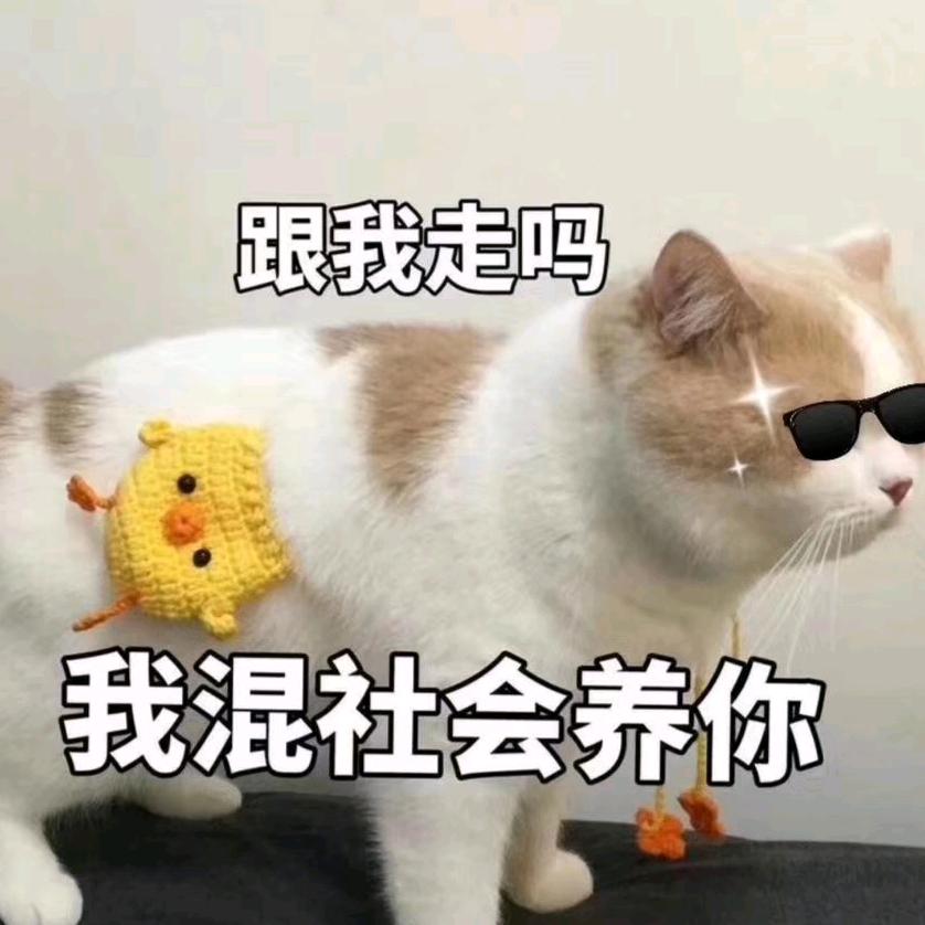噼里啪啦嘭