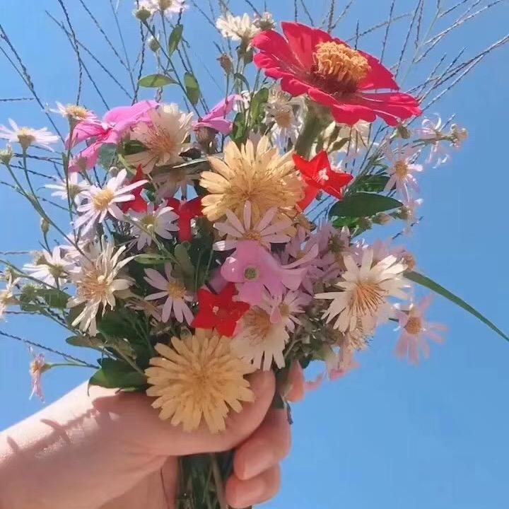吃火锅不怕辣