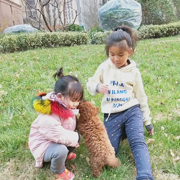 暖冬