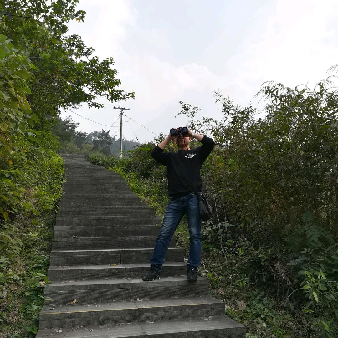 王宇泽