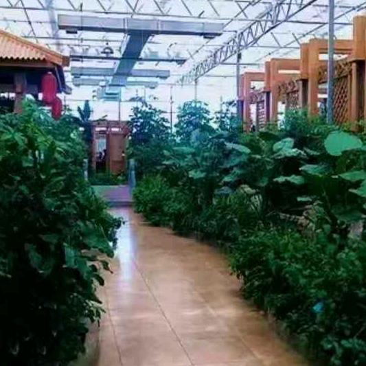 郑，，，天天都有好心情