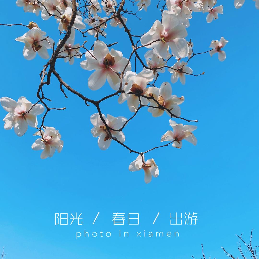 理所当然