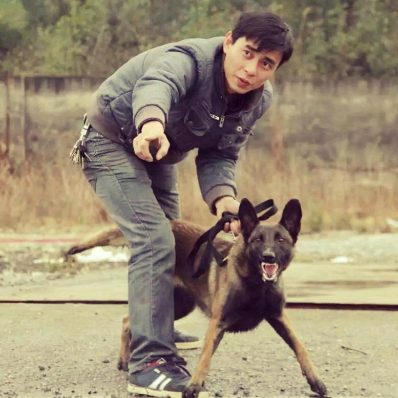 湖南忠卫训犬