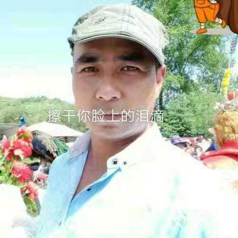 风情哥