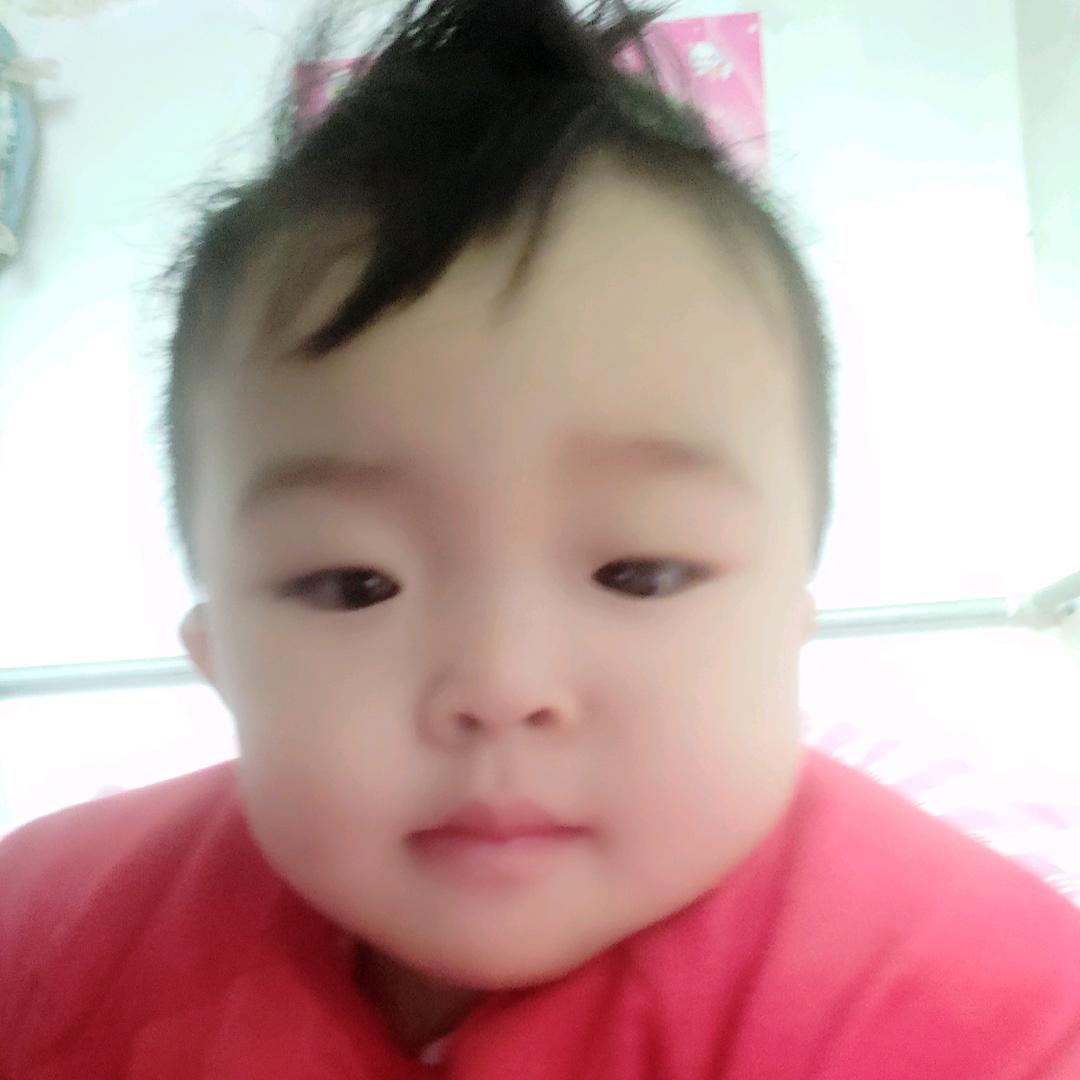 鲜花朵朵🌸🌸阳台养花