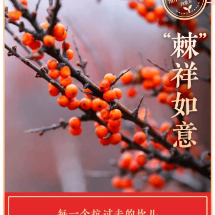w洁