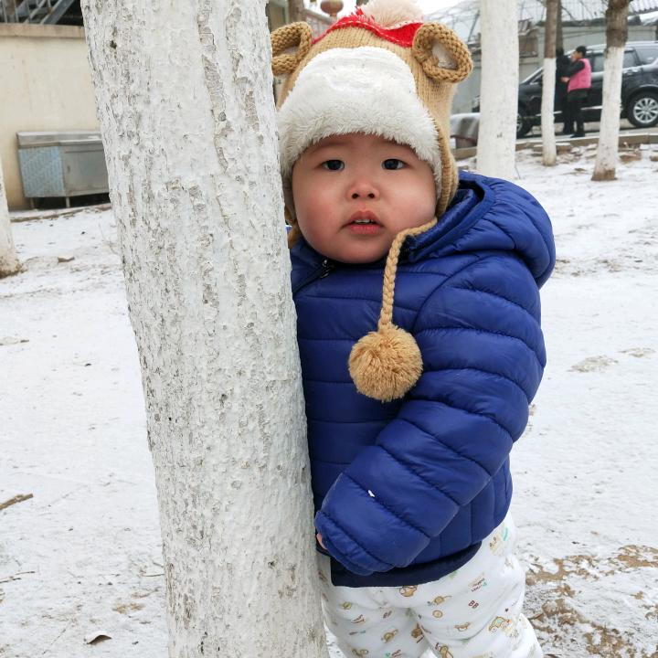 与狗为邻