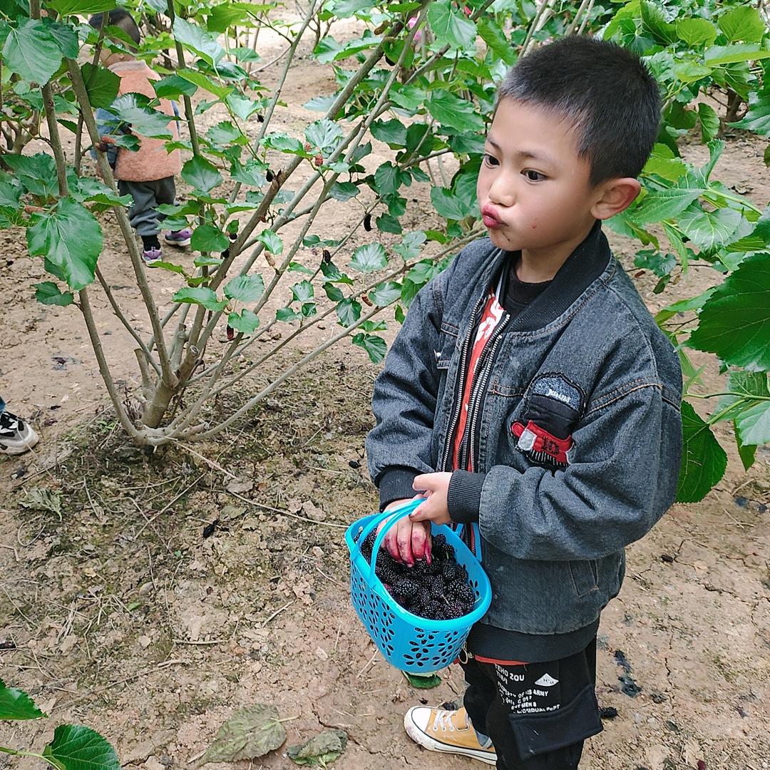 夏末巧