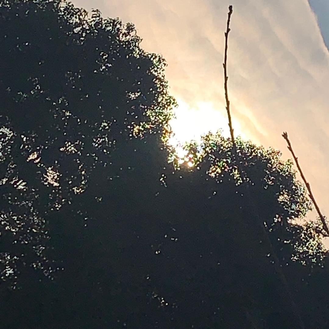 一人抚养两只猫。