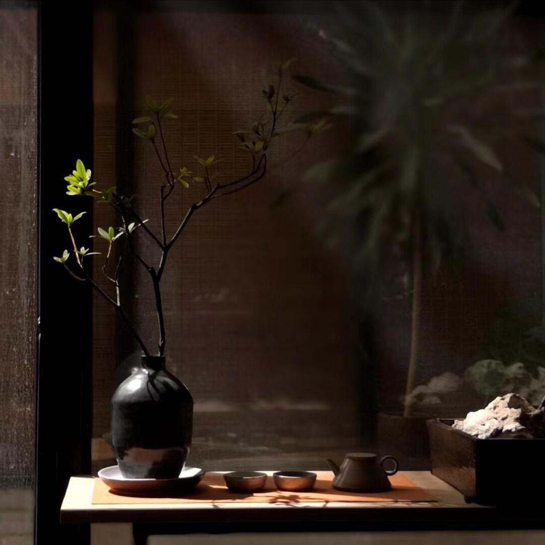 社会我波姐（记得点关注哦）