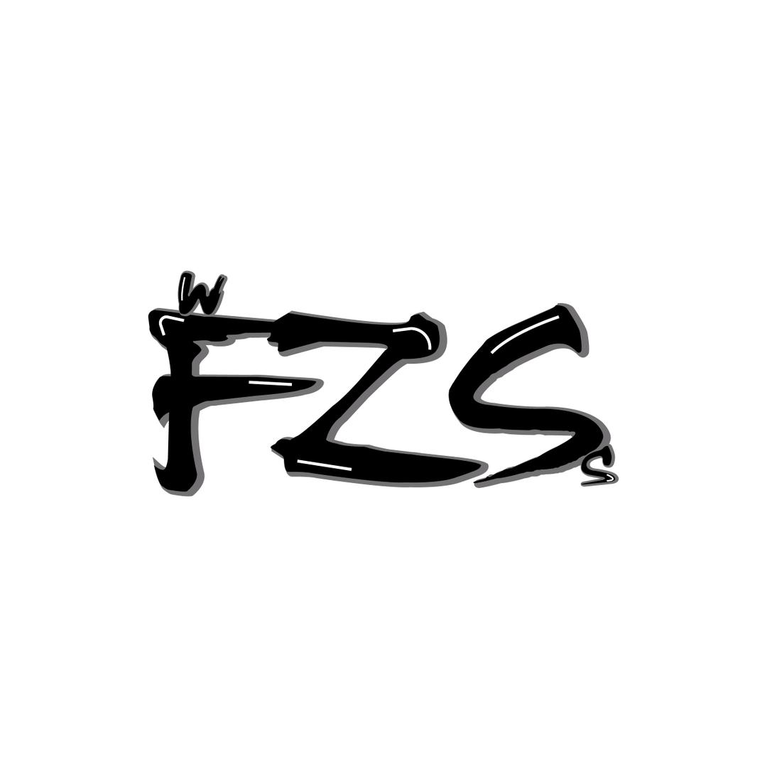 FZS DANCE舞服定制