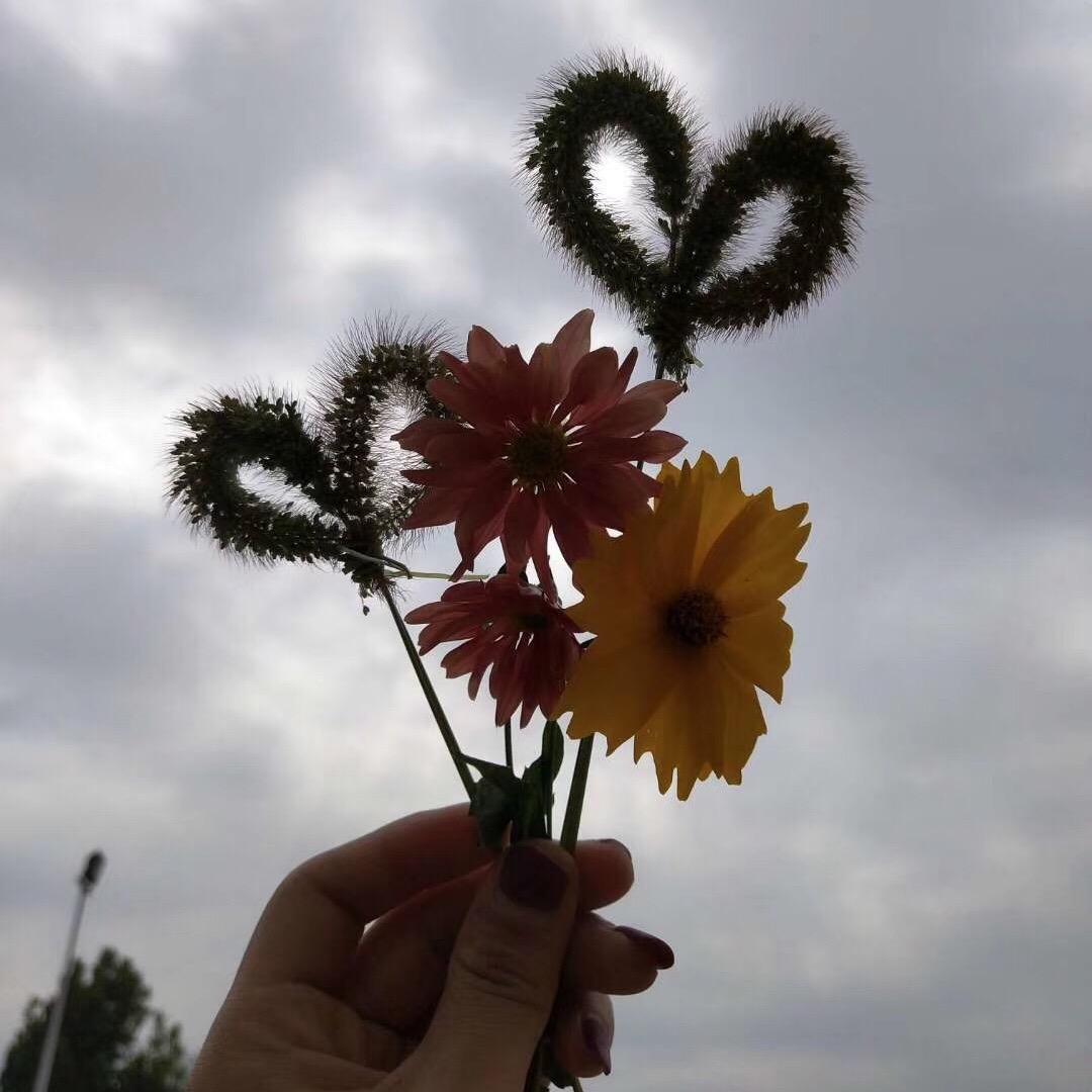 ꕥ᭄平安💞喜乐