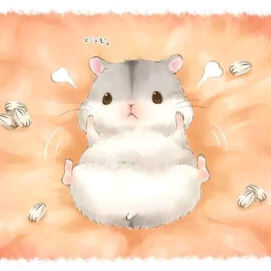 遗忘雨季