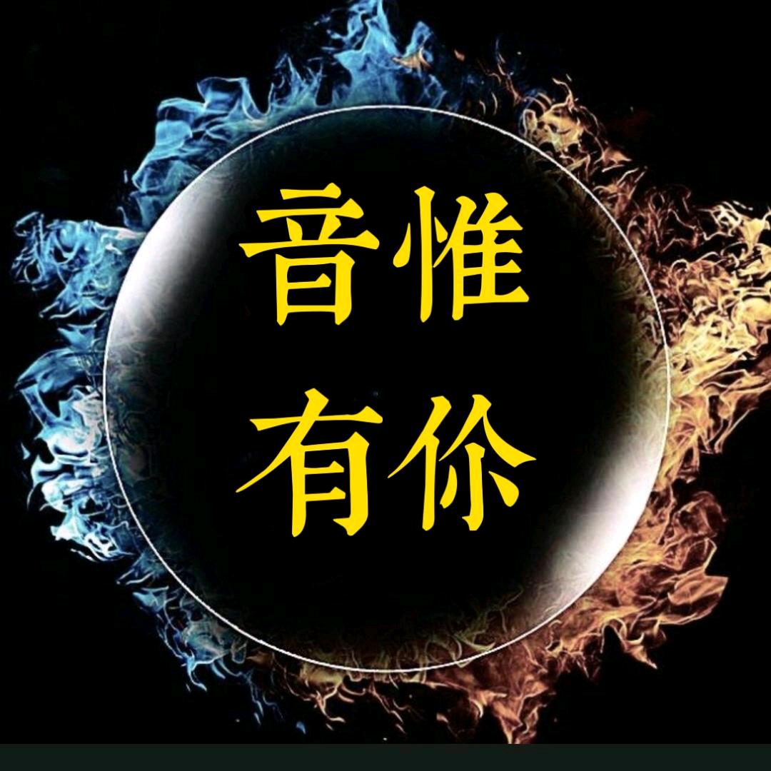 音惟有你DJ(车载优盘)