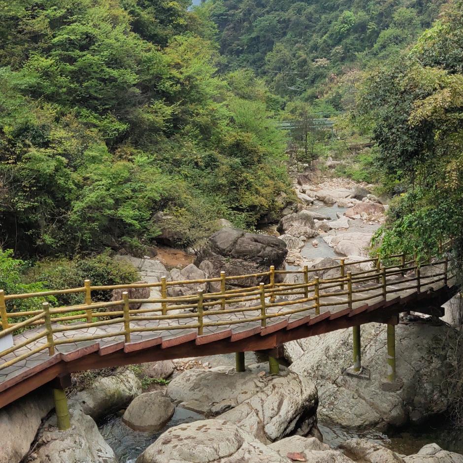 龙小白