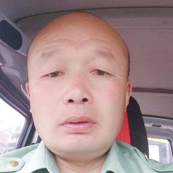 心若向阳，何畏悲伤