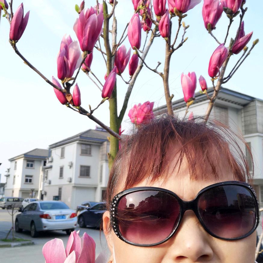 天上的月亮