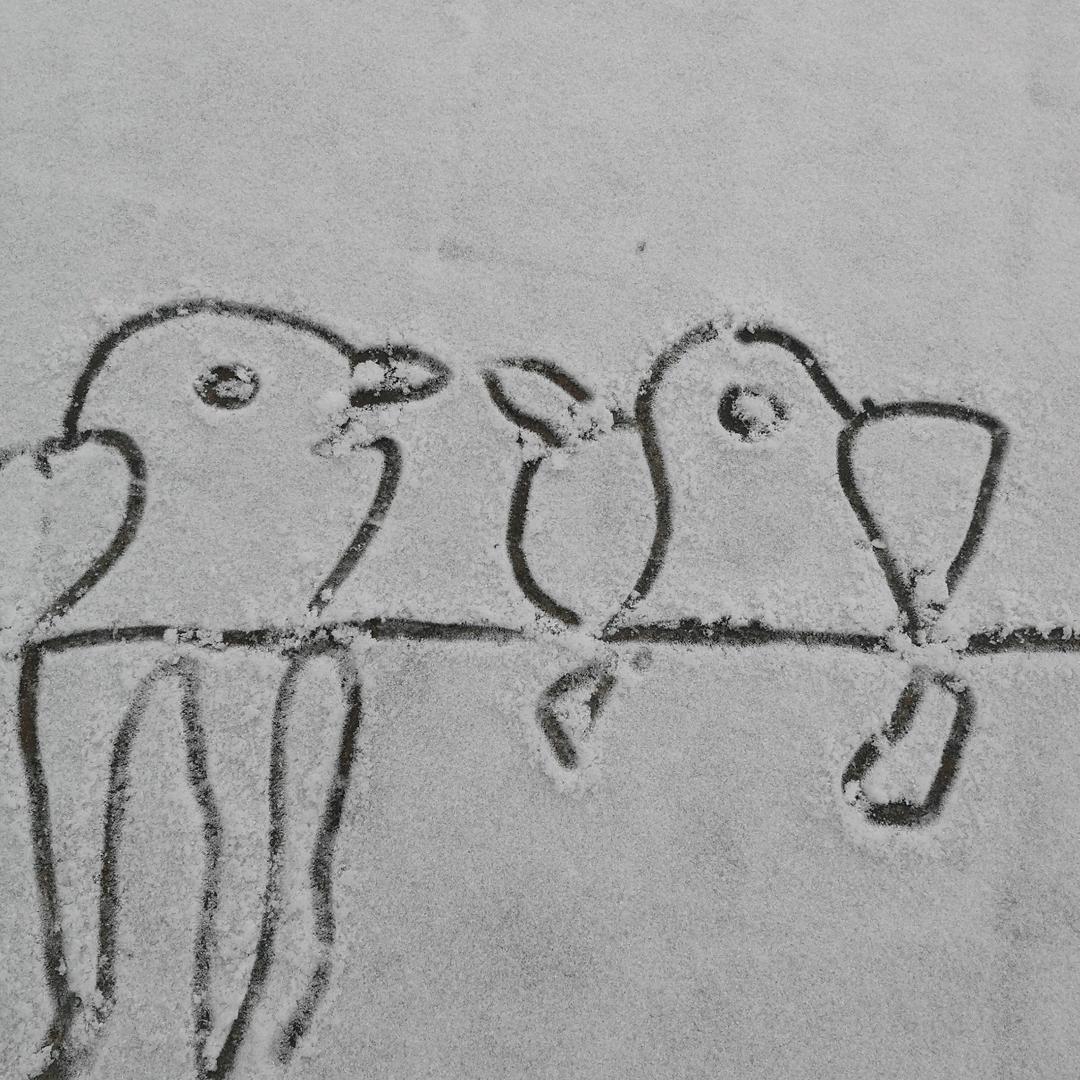 王树斌