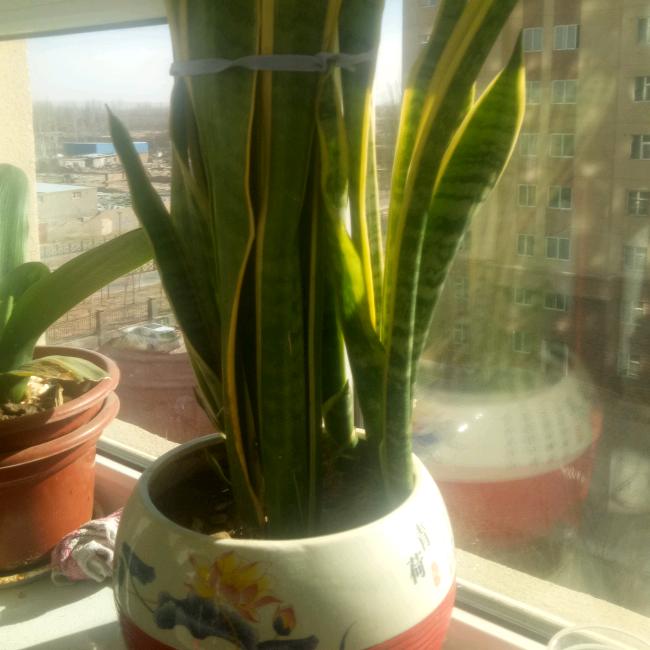 天南地北450808638