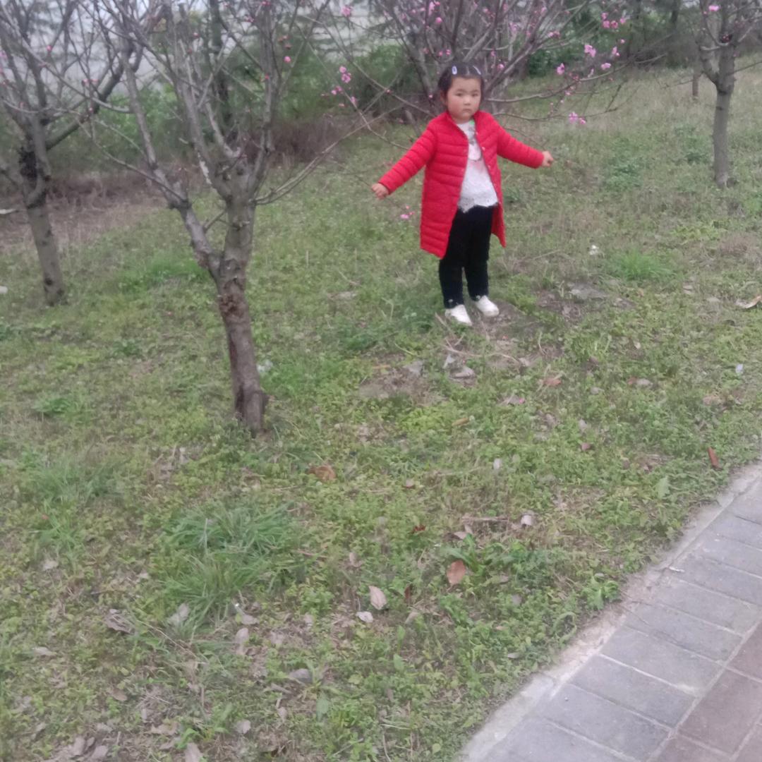 小草