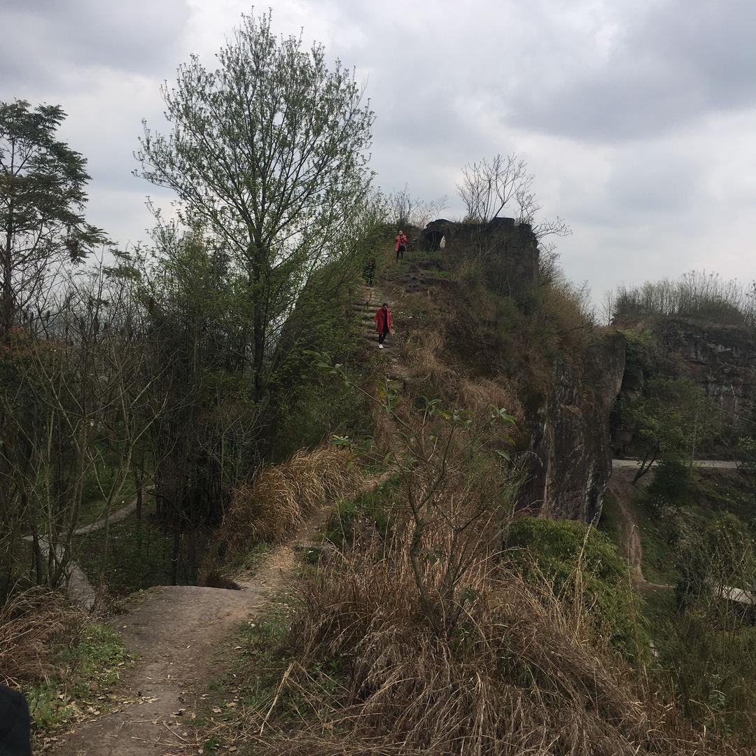 玫玫同学