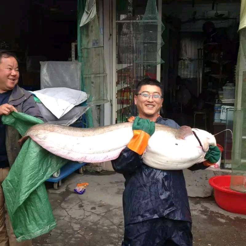 陶子爱钓鱼