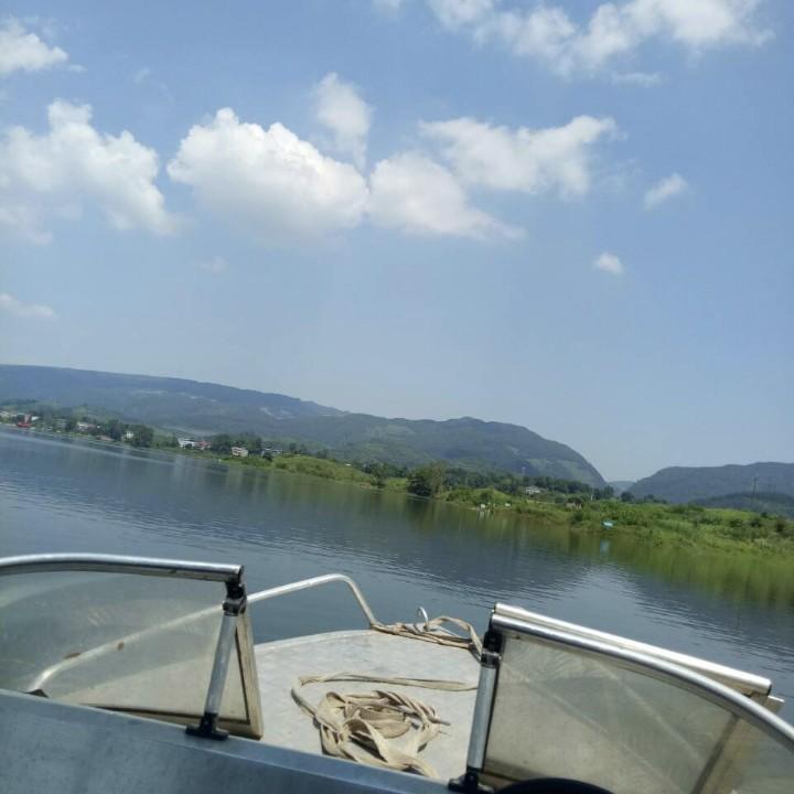 金丝楠乌木，万双双