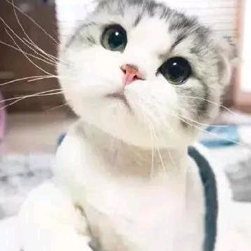 静看风云